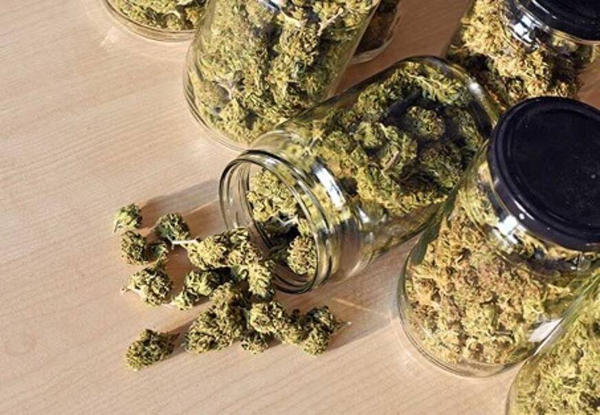 fleurs de cbd